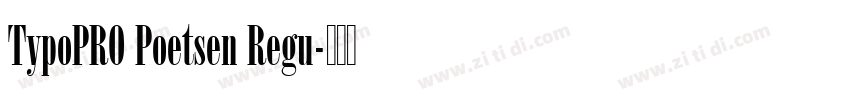 TypoPRO Poetsen Regu字体转换